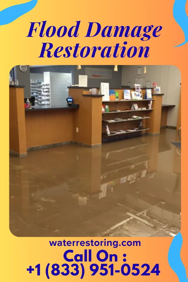 Flood Damage Restoration in Sturgis, MS