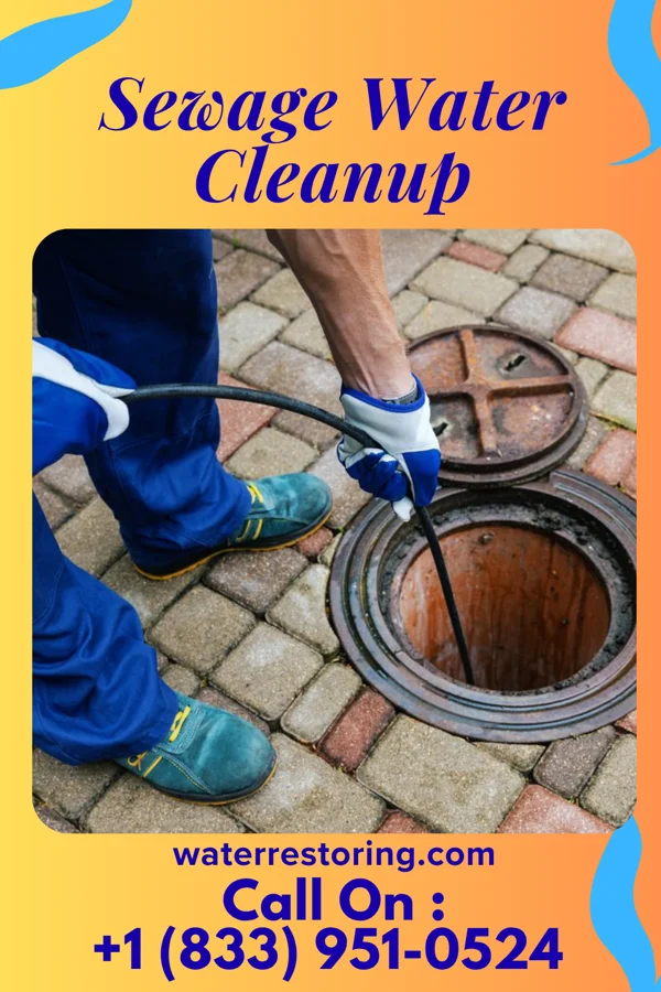 Sewage Water Cleanup in Sturgis, MS